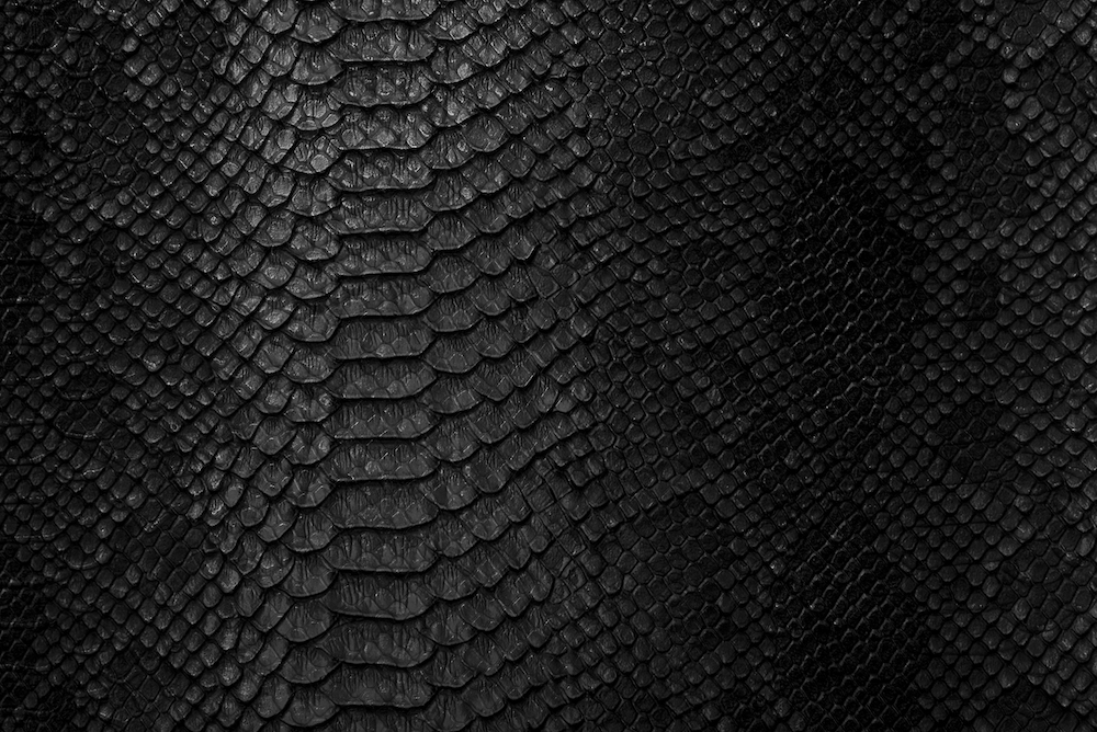 Snake Large